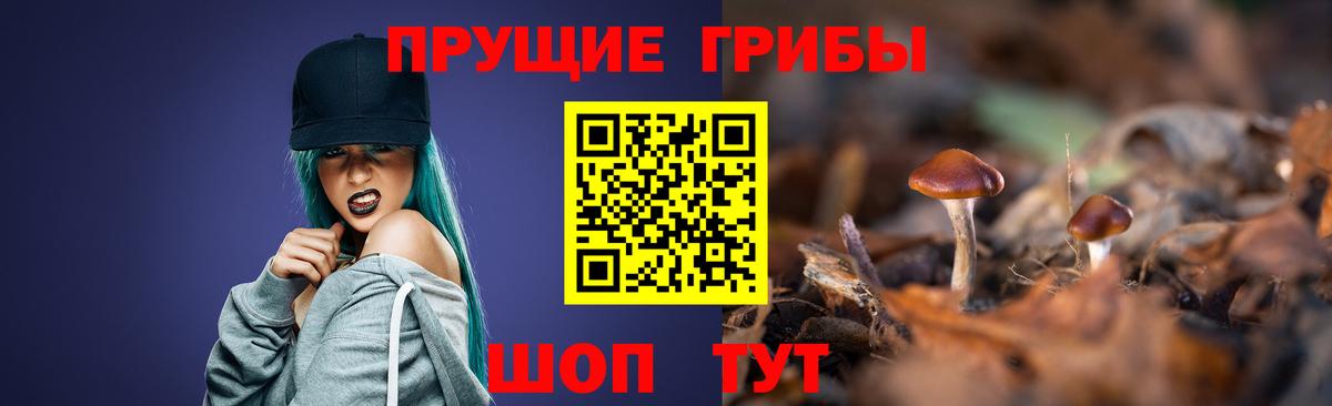 Галлюциногенные грибы Psilocybine cubensis  Вход с VPN  Михайловка 